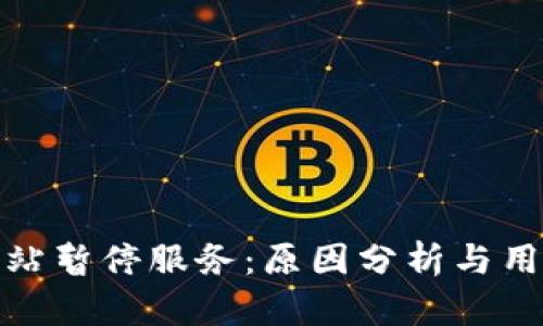 TP钱包加油站暂停服务：原因分析与用户应对策略
