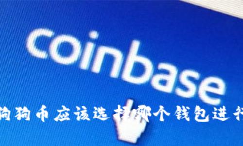 全面解析：狗狗币应该选择哪个钱包进行安全存储？