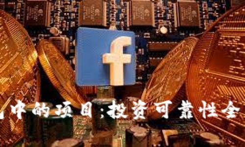 TP钱包中的项目：投资可靠性全面分析