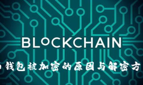 比特币钱包被加密的原因与解密方法详解