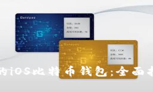 如何选择适合的iOS比特币钱包：全面指南与实用建议