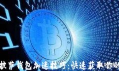 揭秘比特币披萨钱包加速