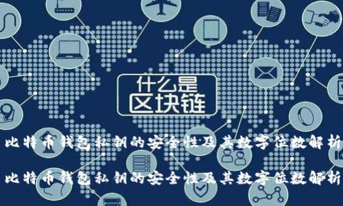 比特币钱包私钥的安全性及其数字位数解析

比特币钱包私钥的安全性及其数字位数解析