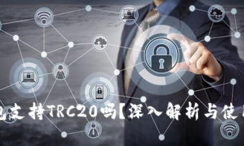 TP钱包支持TRC20吗？深入解析与使用指南