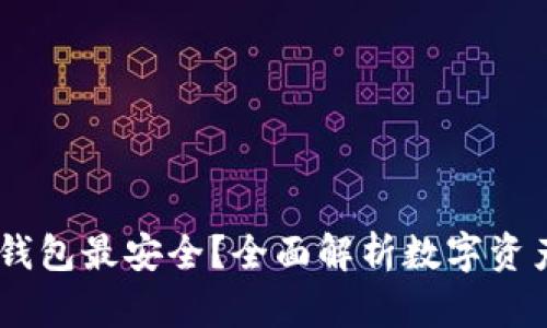 存USDT用哪个钱包最安全？全面解析数字资产钱包选择指南