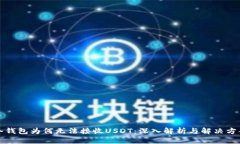 冷钱包为何无法接收USDT：深入解析与解决方案