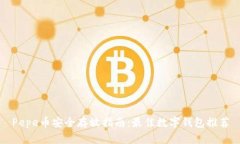 Pepe币安全存放指南：最佳