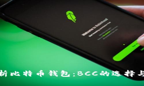 ```xml
全面解析比特币钱包：BCC的选择与安全性