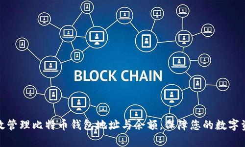 如何有效管理比特币钱包地址与余额，保障您的数字资产安全