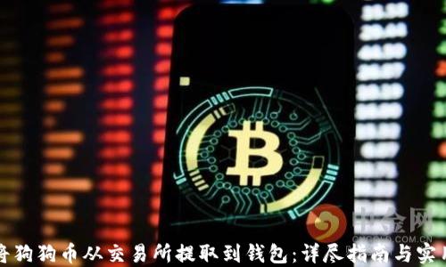 
如何将狗狗币从交易所提取到钱包：详尽指南与实用技巧