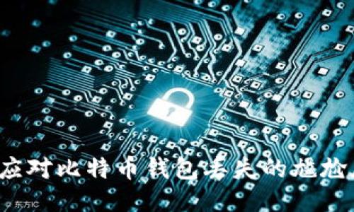 如何应对比特币钱包丢失的尴尬局面？