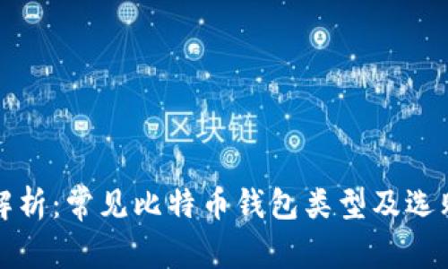 全面解析：常见比特币钱包类型及选购指南