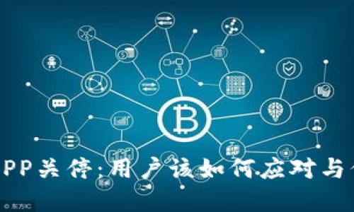 比特币钱包APP关停：用户该如何应对与保护数字资产