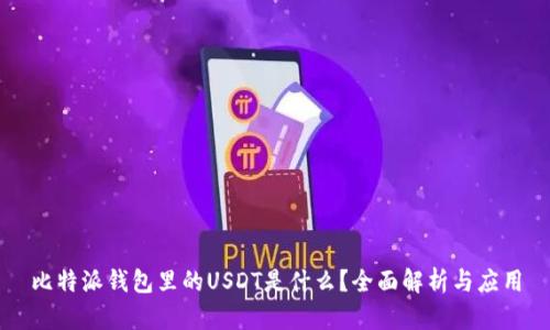 比特派钱包里的USDT是什么？全面解析与应用