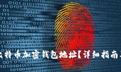 如何设置比特币加密钱包地址？详细指南及注意事项