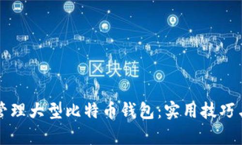 如何有效管理大型比特币钱包：实用技巧与最佳实践