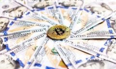   比特币钱包能存美元吗？