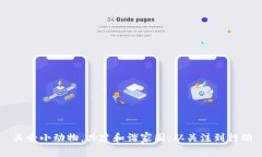 关爱小动物，共建和谐家