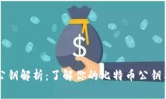 比特币钱包公钥解析：了