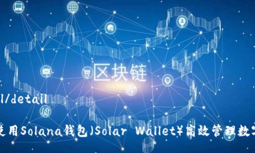 detail/detail

如何使用Solana钱包（Solar Wallet）高效管理数字资产