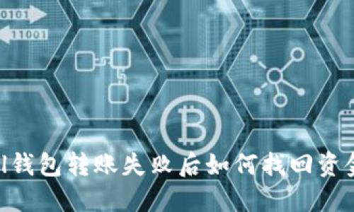 sol钱包转账失败后如何找回资金？