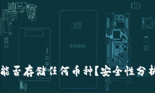 以太坊钱包能否存储任何币种？安全性分析与使用指南