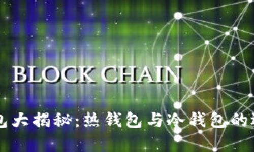 以太坊钱包大揭秘：热钱包与冷钱包的选择与应用