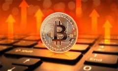 确保比特币钱包安全的五