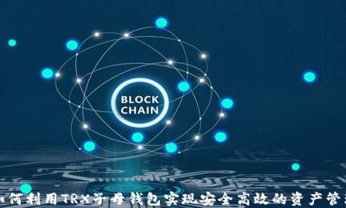 
如何利用TRX子母钱包实现安全高效的资产管理