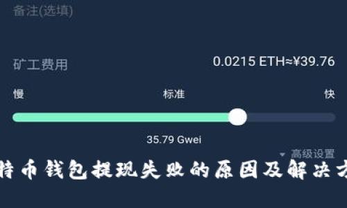 比特币钱包提现失败的原因及解决方案