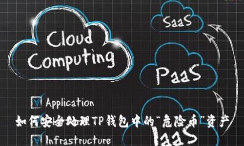 如何安全处理TP钱包中的“危险币”资产