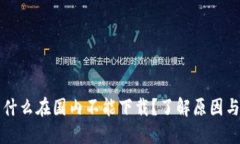 TP钱包为什么在国内不能下