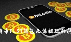 如何解决比特币PLST钱包无法提现的问题：全面指