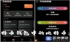 如何安全管理比特币钱包中的比特币：实用技巧