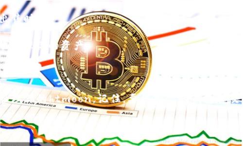 tp钱包买的htmoon在哪里？

如果你在tp钱包中购买了htmoon，那么你可能会想知道如何找到它。首先，让我们简要介绍一下tp钱包。

tp钱包是一款非常流行的加密货币钱包，支持多种数字资产的管理和交易。用户可以在这个钱包中进行交易、转账和存储他们的数字资产。

如何找到你的htmoon

在tp钱包中找到你购买的htmoon（HTMoon）通常是一个比较简单的过程。以下是一些具体的步骤，可以帮助你定位你的htmoon。

首先，打开你的tp钱包应用。确保你已成功登录到你的账户。如果你尚未登录，请使用你的私钥或助记词进行登录。

接下来，在钱包的主界面上，你通常会看到一个“资产”或“余额”选项。点击这个选项，进入你的数字资产列表。

在资产列表中，你应该能够看到你钱包中所有的资产，包括HTMoon。如果你没有看到HTMoon，可能需要手动添加它。这是因为某些新资产并不会自动显示在钱包里。

如何添加htmoon到tp钱包？

如果在你的资产列表中没有找到htmoon，可以按照以下步骤添加它。

在资产页面，通常会有一个“添加资产”或“添加代币”的选项。点击这个选项，接着会出现一个搜索框。在搜索框中输入“HTMoon”，然后搜索。

如果HTMoon在搜索结果中，选择它并确认添加到你的钱包。如果没有找到，你可能需要手动输入HTMoon的合约地址。这个地址可以在HTMoon的官方渠道找到，务必要确认地址的准确性，以免损失资产。

为什么htmoon会不在你的钱包中？

很多情况下，HTMoon没有显示在你的tp钱包中，可能是因为它是一个较新的代币，尚未被广泛支持。还有可能是你在购买时的交易尚未确认，或者是在转账过程中出现了问题。无论原因是什么，定期检查你的地址和交易历史，可以确保你的工作没有出现错误。

在tp钱包中管理htmoon

一旦找到或添加了HTMoon，你就可以开始管理你的代币了。你可以进行交易、转账，或者简单地持有这些资产等待增值。

如果你想出售HTMoon，可以在tp钱包中找到出售选项。确保你熟悉当前的市场行情，以便找到一个合适的出售时机。

同时，tp钱包也提供了其他功能，例如历史交易记录查询和市场动态查看。利用这些功能，可以帮助你更好地管理你的资产。

结论

总体而言，在tp钱包中找到HTMoon并不是一件复杂的事情。只需按照上述步骤操作，你就能够轻松找到并管理你的htmoon。记住，要保持你的钱包和交易信息的安全，不要泄露你的私钥或助记词给任何人。

希望以上信息对你有所帮助，祝你在加密货币的投资之路上取得成功！