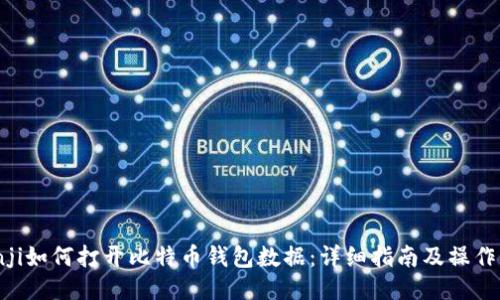 bianji如何打开比特币钱包数据：详细指南及操作步骤