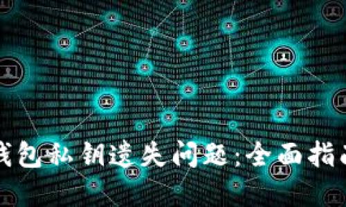 如何处理TP钱包私钥遗失问题：全面指南与解决方案