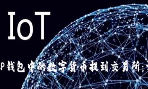 如何将TP钱包中的数字货币提到交易所：详细指南