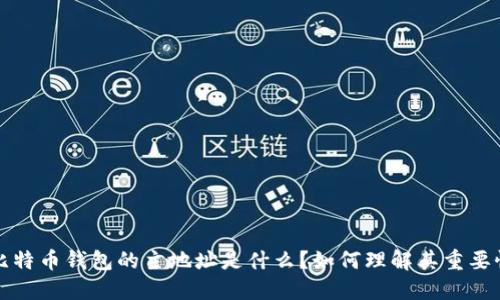 比特币钱包的主地址是什么？如何理解其重要性