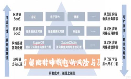 深入了解比特币钱包的风险与防范策略