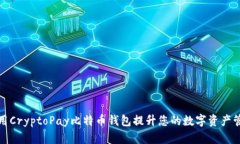 如何利用CryptoPay比特币钱包提升您的数字资产管