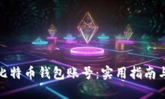 如何找回比特币钱包账号：实用指南与具体步骤