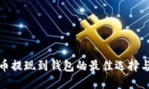 狗狗币提现到钱包的最佳选择与攻略