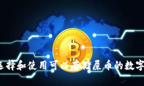 如何选择和使用可以存储屎币的数字钱包？