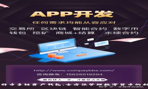 比特币多链资产钱包：全方位管理数字货币的利器