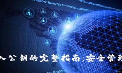 比特币钱包导入公钥的完整指南：安全管理您的数字资产