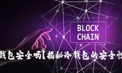 比特币冷钱包安全吗？揭秘冷钱包的安全性与实用性