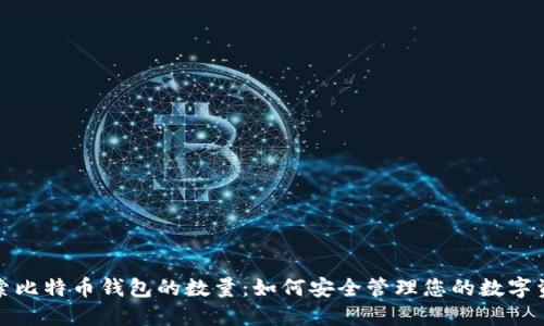 探索比特币钱包的数量：如何安全管理您的数字资产