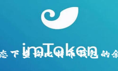 如何在离线状态下查询比特币钱包的余额和交易记录