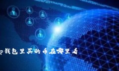     tp钱包里买的币在哪里看    如何在 TP 钱包中查